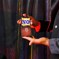 SMART BOX (Gimmicks and Online Instructions) by Mago Flash