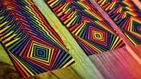 XQ Forty Nine Cards by Magic Encarta
