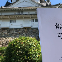 Haiku Book Test 2.0 by Vincent Hedan - Trick