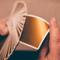 Fort NOC (GOLD) Playing Cards