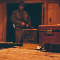 Fort NOC (GOLD) Playing Cards