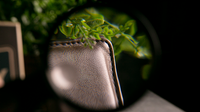Easy Money Brown Wallet (Gimmick and Online Instructions) by Spencer Kennard - Trick
