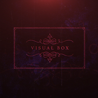 VISUAL BOX (Gimmicks and Online Instructions) by Smagic Productions - Trick