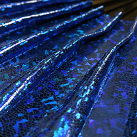 Appearing SnowStorming Fan V2 (Blue Hologram) by Victor Voitko (Gimmick and Online Instructions) - Trick