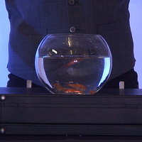 ULTIMATE BOWLING BALL FROM BRIEFCASE by Richard Griffin