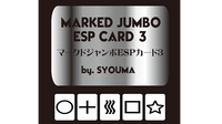 Marked Jumbo ESP Cards (Black) by Tejinaya Magic - Trick
