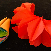 Deluxe Spring Flowers by Alan Wong - Trick