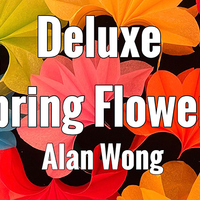 Deluxe Spring Flowers by Alan Wong - Trick