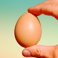 Fake Egg Brown by Quique Marduk - Trick