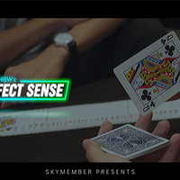 The Vault - Skymember Presents Perfect Sense by Daniel Hiew video DOWNLOAD