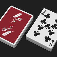 Remedies Playing Cards by Madison x Schneider