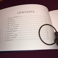 Treacherous Impuzzibilities by Jim Steinmeyer - Book