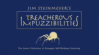 Treacherous Impuzzibilities by Jim Steinmeyer - Book
