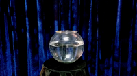 APPEARING FISH IN BOWL by Sorcier Magic
