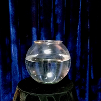 APPEARING FISH IN BOWL by Sorcier Magic