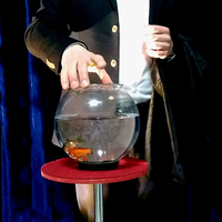 APPEARING FISH IN BOWL by Sorcier Magic