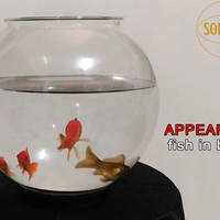 APPEARING FISH IN BOWL by Sorcier Magic