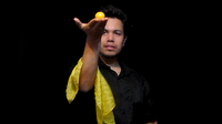 BALL IDEAS by Luis Zavaleta video DOWNLOAD
