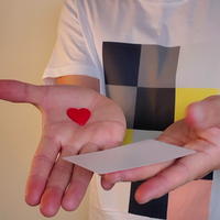 PIPS MATRIX (Gimmicks and Online Instruction) by Jeki Yoo - Trick