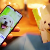 AnyWeb by Magic Pro Ideas - Trick