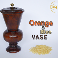 Orange and Rice Vase by Sorcier Magic