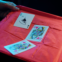 BOUNCE (Red) by The House of Crow