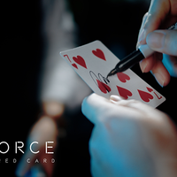 BOUNCE (Blue) by The House of Crow