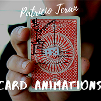 The Vault - Card Animations by Patricio Teran video DOWNLOAD