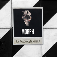 The Vault - MORPH by Nacho Mancilla Mixed Media DOWNLOAD