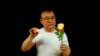 Rose Light set RED by JL Magic - Trick
