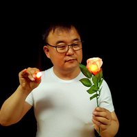 Rose Light set RED by JL Magic - Trick