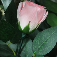 Rose Light set RED by JL Magic - Trick