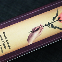 Rose Light set RED by JL Magic - Trick