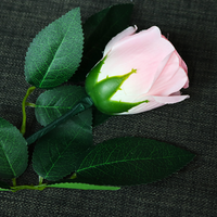 Rose Light set RED by JL Magic - Trick