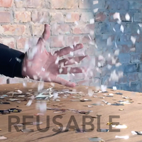 SnowShot SILVER (10 ct.) by Victor Voitko (Gimmick and Online Instructions) - Trick