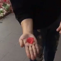 PETAL TO COIN by JL Magic - Trick