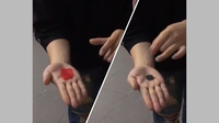 PETAL TO COIN by JL Magic - Trick
