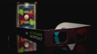 Screams at Midnight Playing Cards (3D-Glasses INCLUDED)
