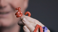 Animinimals (Gimmicks and Online Instructions) by Billy Damon - Trick
