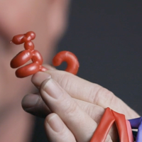 Animinimals (Gimmicks and Online Instructions) by Billy Damon - Trick