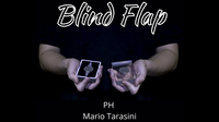 The Vault - Blind Flap Project by PH and Mario Tarasini video DOWNLOAD
