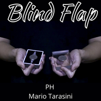 The Vault - Blind Flap Project by PH and Mario Tarasini video DOWNLOAD