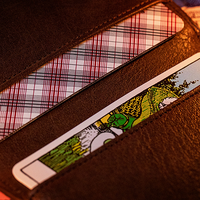 The Oracle System by Ben Seidman