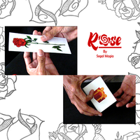 Rose by Segal Magia Mixed Media DOWNLOAD