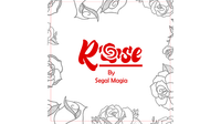 Rose by Segal Magia Mixed Media DOWNLOAD
