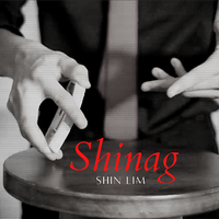 The Vault - Shinag by Shin Lim video DOWNLOAD