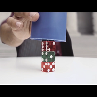 How to Cheat at Dice Black Leather (Props and Online Instructions)  by Zonte and SansMinds - Trick