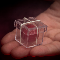 MAGIC CHAMBER (Gimmicks and Instructions) by Apprentice Magic  - Trick