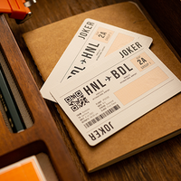 Lounge Edition in Hangar (Orange) with Limited Back by Jetsetter Playing Cards