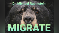 MIGRATE DLX COIN by Dr. Michael Rubinstein - Trick
